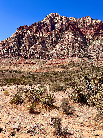 Red Rocks Canyon, NV