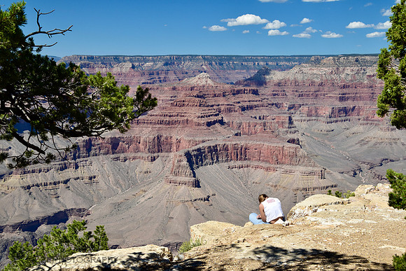 Quiet Moment Grand Canyon South Rim