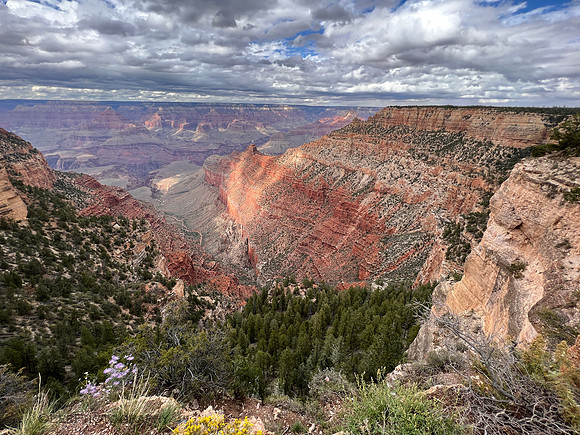 Grand Canyon South Rim