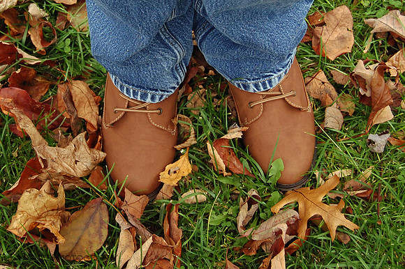 Autumn Leaves At My Feet