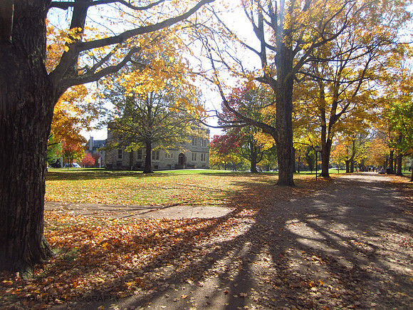 College Campus in Autumn