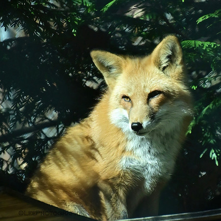 Lakota Wildlife Preserve