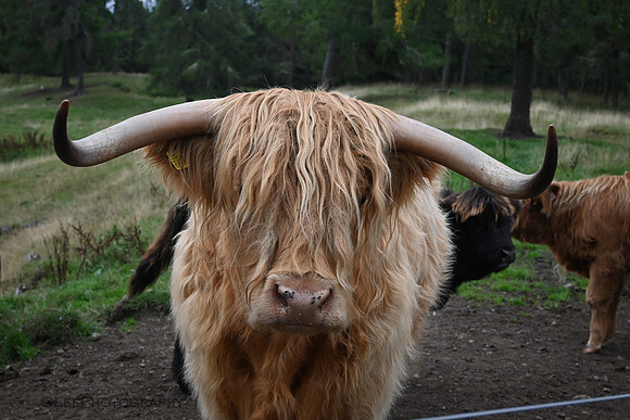 Not impressed.