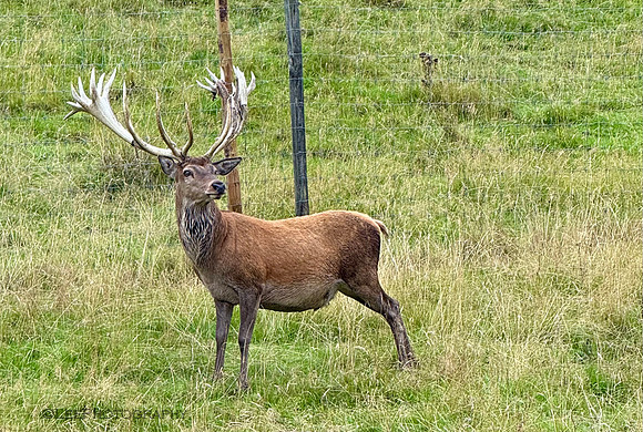 Quite a rack