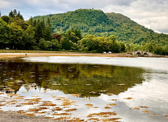 Beauty in Inverness