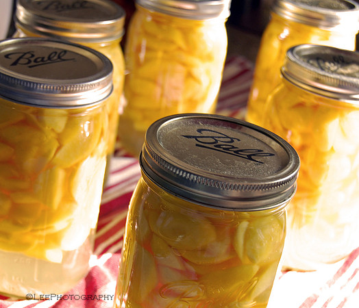 Canned Fruits