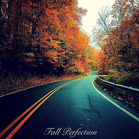fall colors, road