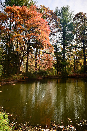 Geenwood Gardens, NJ