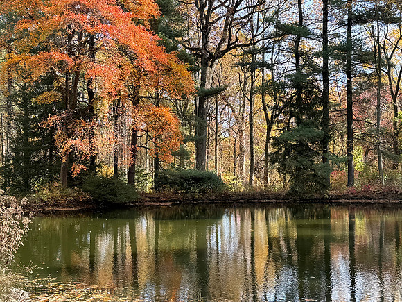 Geenwood Gardens, NJ