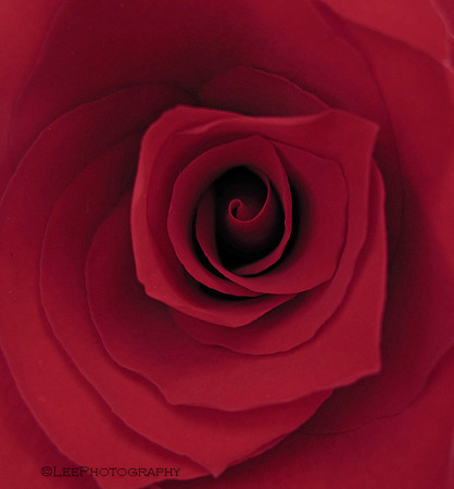 Channeling O'Keeffe