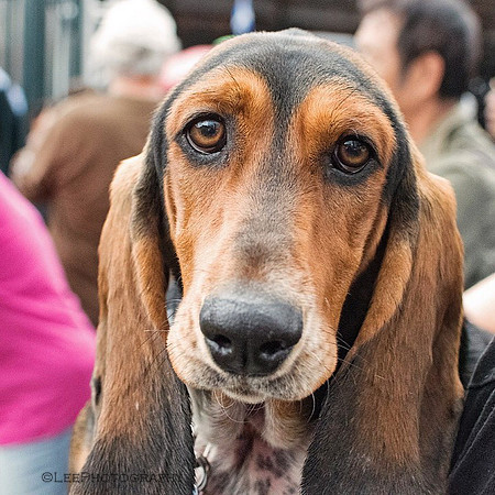 That face!