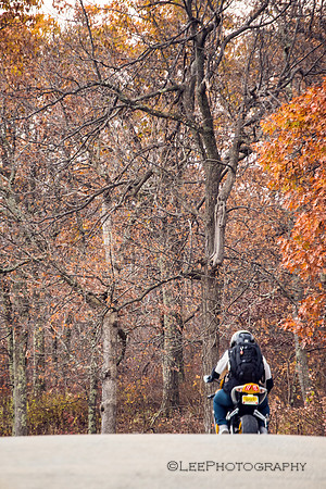 Fall Season at High Point State Park, NJ
