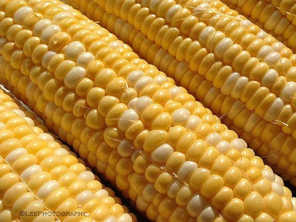 Corn on the Cob
