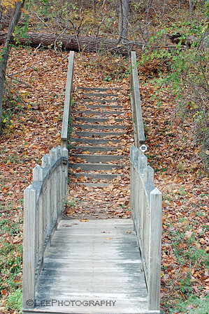 Hiking Trail Steps in Fall