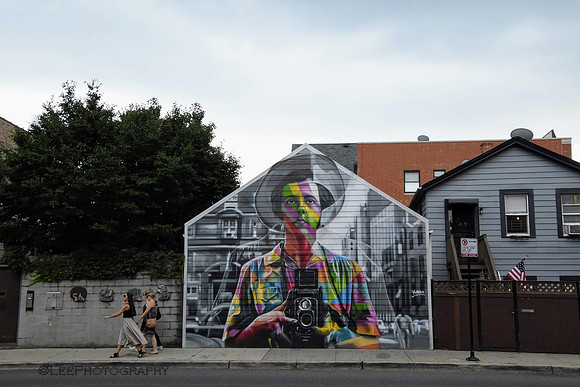 Vivian Maier Mural