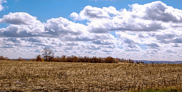 Fall On The Farm