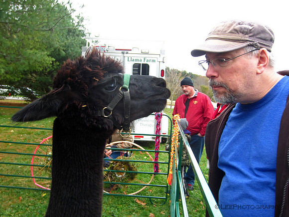 Hello, Alpaca!