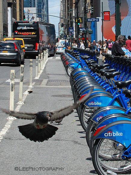 Only in New York