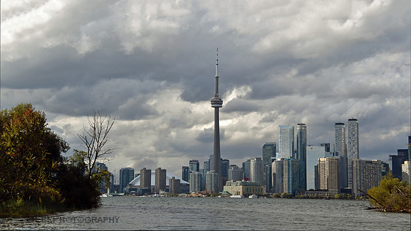 CN Tower from Toronto Island