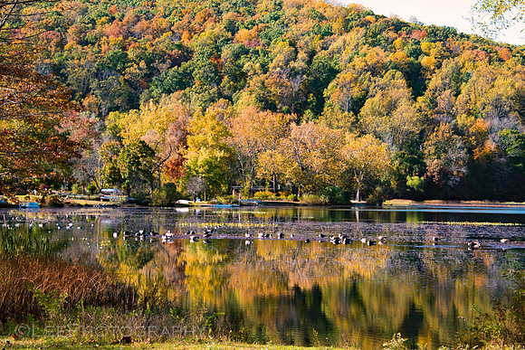 Leaf Peeping in October, Mountain Lake