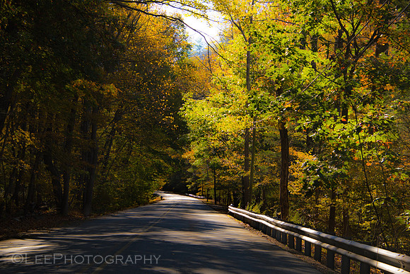 Shades of Death Road