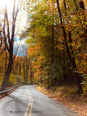 Fall Days in October