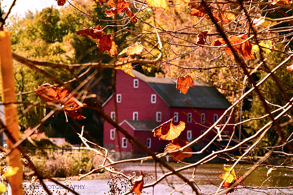 Red Mill in Fall
