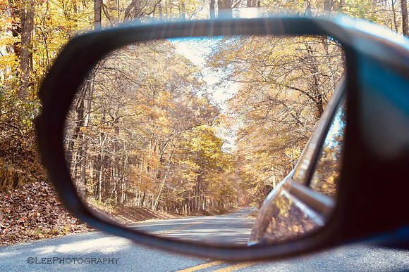 Fall Vibes 2021