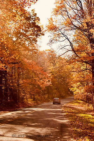 Fall Vibes 2021