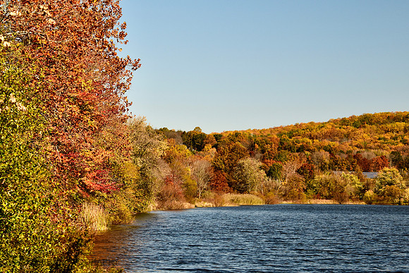 Fall Vibes 2021