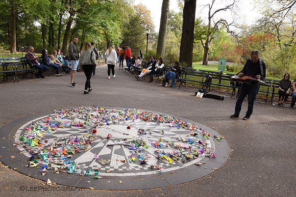 Musician at Imagine Memorial