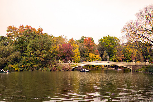 Bow Bridge