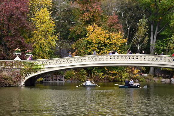 Bow Bridge