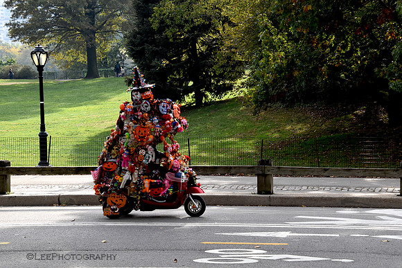 Halloween Rider