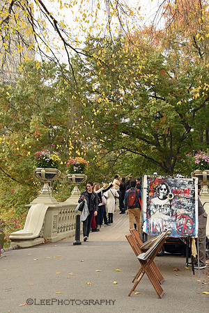 Bow Bridge