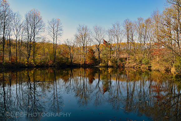 Water Reflections in Autumn