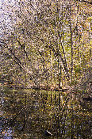 Water Reflections in Autumn