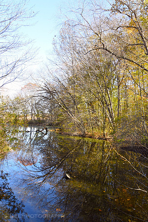 Water Reflections in Autumn