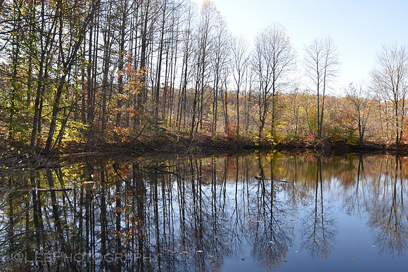 Water Reflections in Autumn