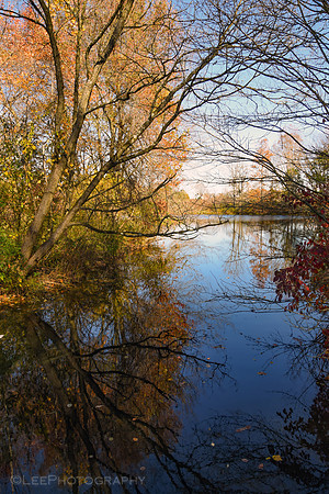 Water Reflections in Autumn