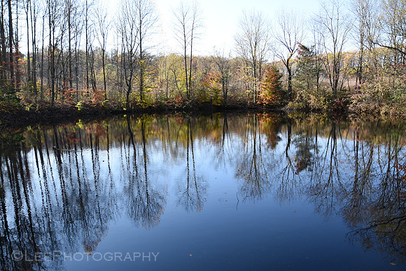 Water Reflections in Autumn