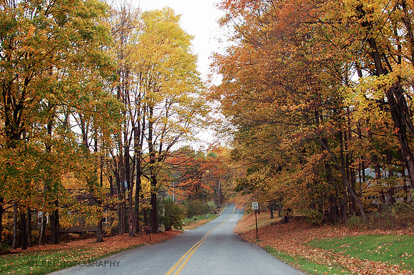 Autumn Country Road