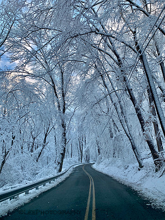 Winter Wonderland a.m.