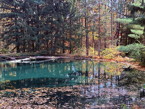 Reflection-Greenwood Gardens, NJ