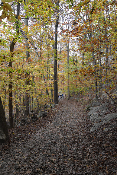 On A Hike
