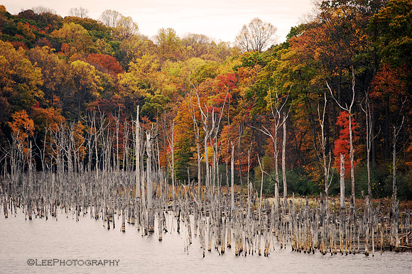 Merrill Creek Reservoir in Autumn
