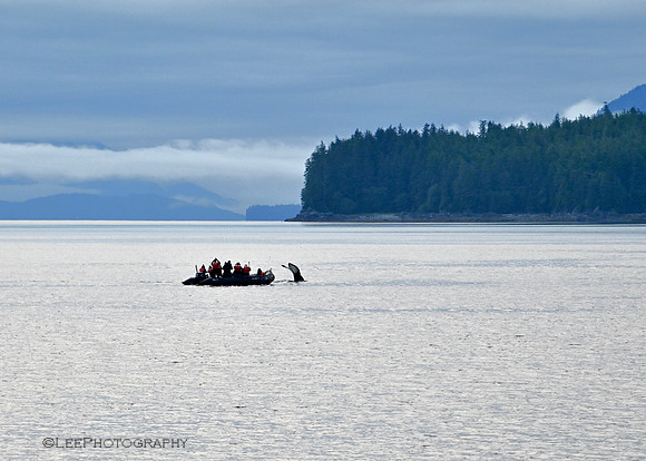Southeast Alaska/Inside Passage
