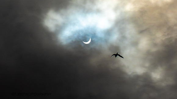 Niagara Falls During Solar Eclipse 2024