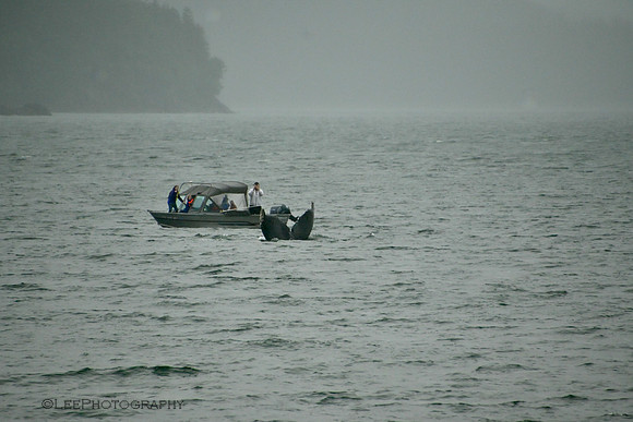 Southeast Alaska/Inside Passage