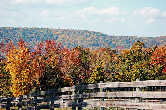 So Much Fall